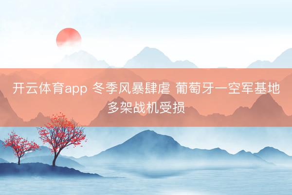 開云體育app 冬季風(fēng)暴肆虐 葡萄牙一空軍基地多架戰(zhàn)機(jī)受損