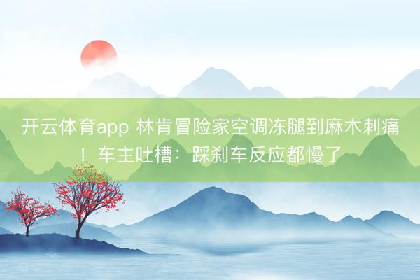 開(kāi)云體育app 林肯冒險(xiǎn)家空調(diào)凍腿到麻木刺痛！車主吐槽：踩剎車反應(yīng)都慢了